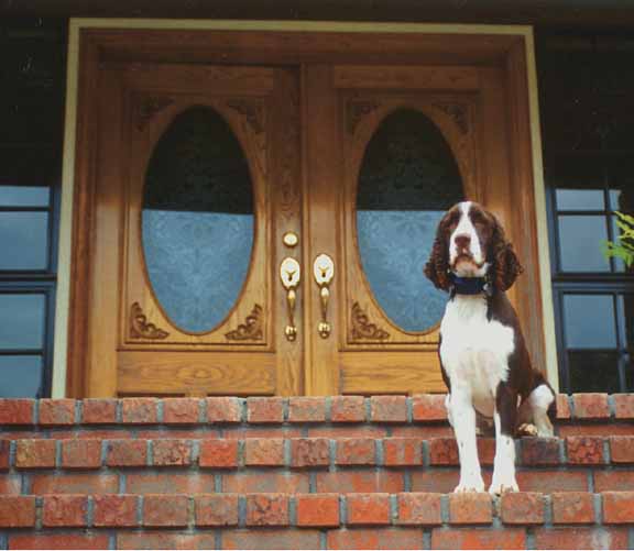 double entry doors oak oval iwp Jeld-wen