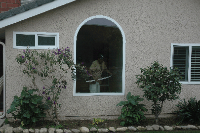round top Milgadr replacemnet window Style line.